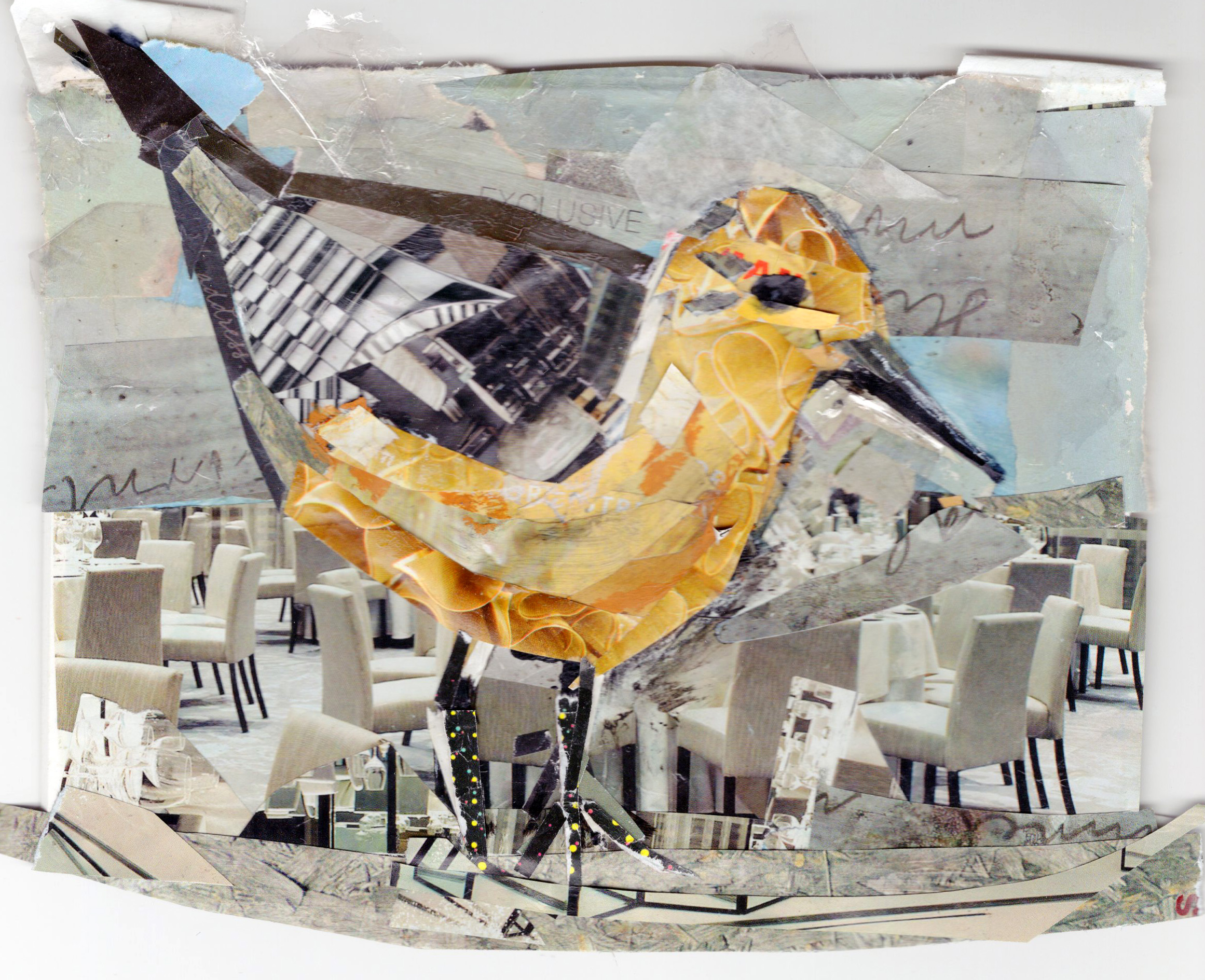 Red Knot by Kathryn DeMarco, collage, 9 x 11 at Craven Allen Gallery