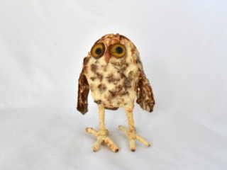 Owl by Bryant Holsenbeck
