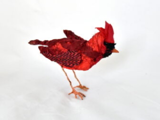 Male Cardinal by Bryant Holsenbeck