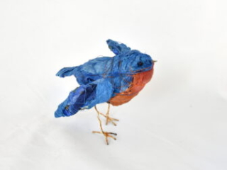 Eastern Bluebird by Bryant Holsenbeck