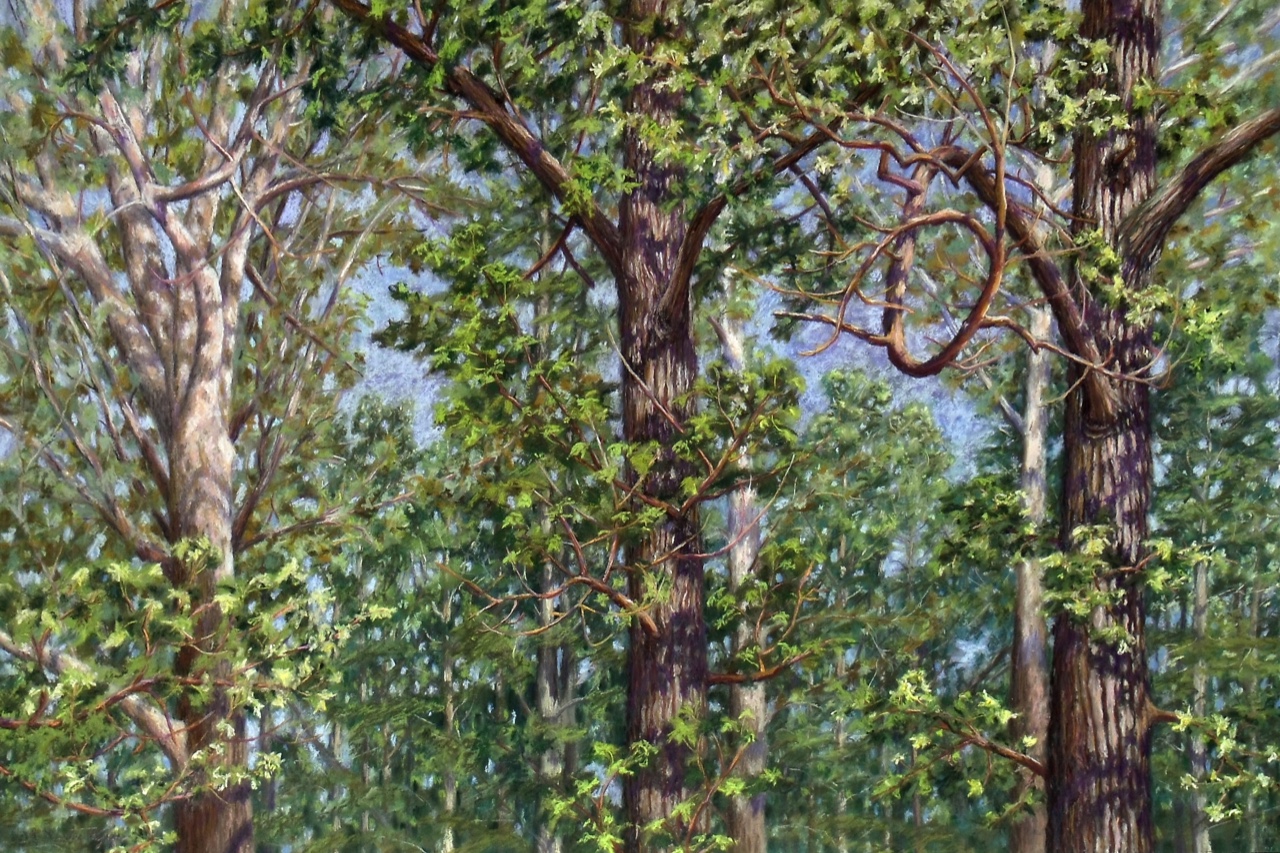 Natures Composition III by A. Hunter Taylor, pastel, 24.5×36.5 at Craven Allen Gallery