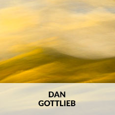 DAN GOTTLIEB AT CRAVEN ALLEN GALLERY