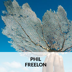PHIL FREELON AT CRAVEN ALLEN GALLERY