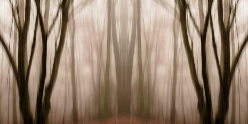 Asheville Fog by Dan Gottlieb, ink jet print and acrylic on plexiglass, 30 x 42 PR at Craven Allen Gallery