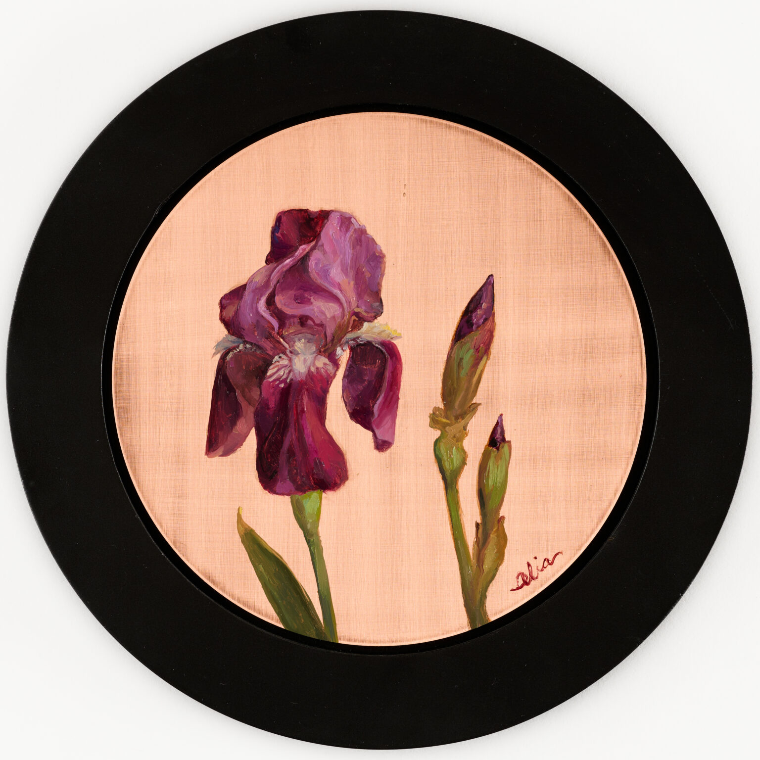 Bearded Iris by Alia El-Bermani, oil on copper, 8 x 8, 2,000
