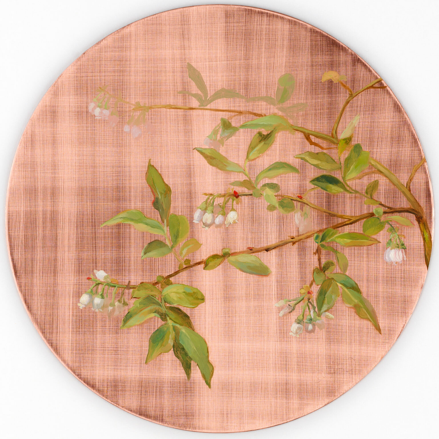 Blueberry Blossom by Alia El-Bermani, oil on copper, 10 x 10, 3,000