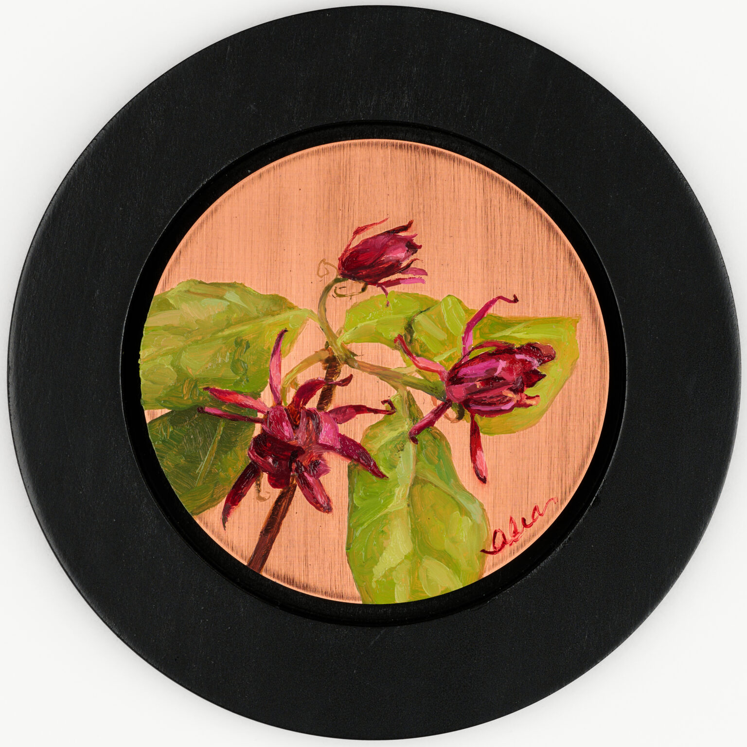 Carolina Allspice by Alia El-Bermani, oil on copper, 4 x 4, 1,000