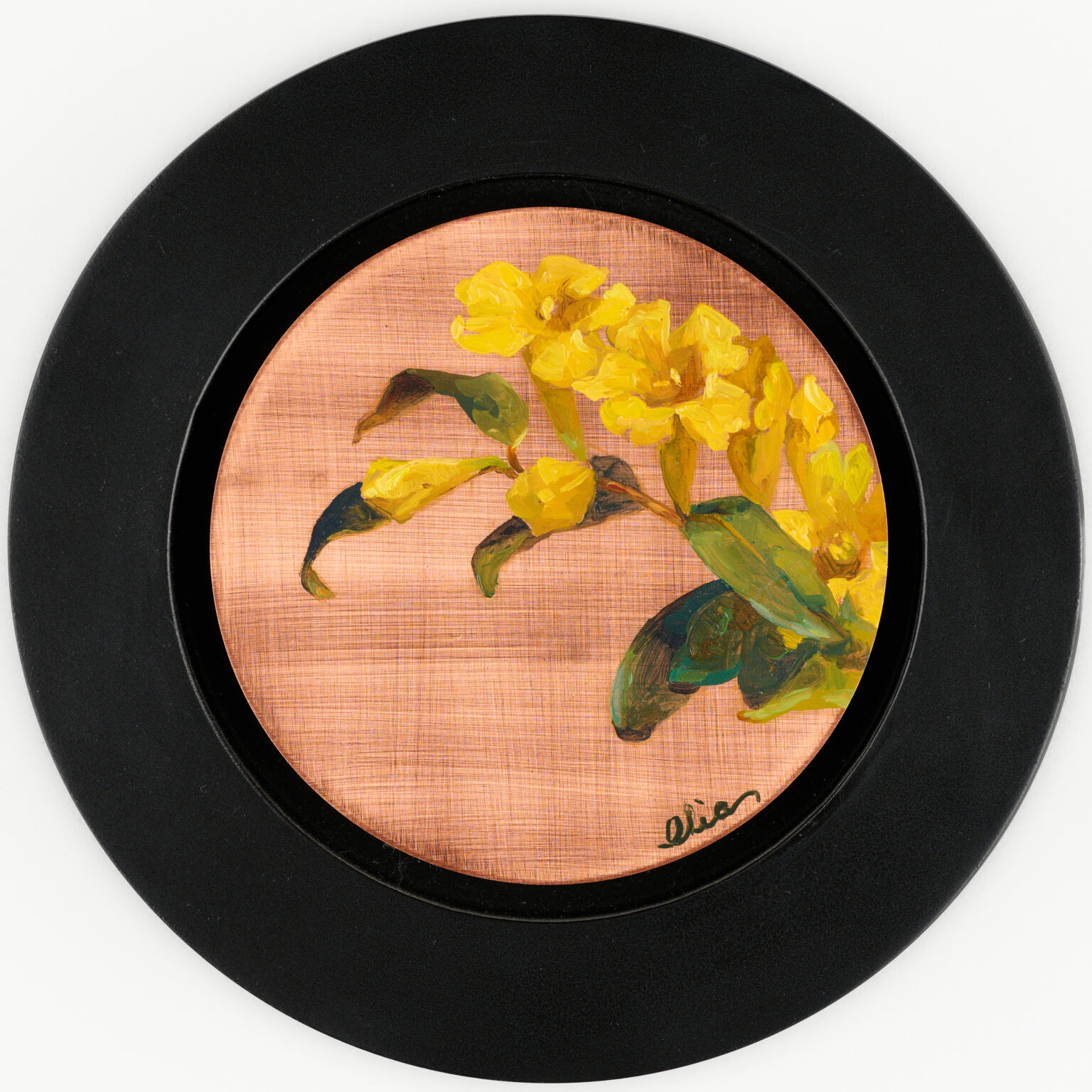 Carolina Jessamine by Alia El-Bermani, oil on copper, 4 x 4, 1,000
