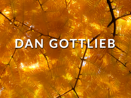DAN GOTTLIEB AT CRAVEN ALLEN GALLERY
