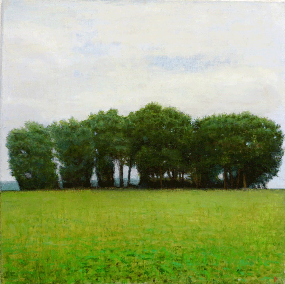 Grey Day, Trees and Field, Oil on linen,16 x 16 by John Beerman at Craven Allen Gallery