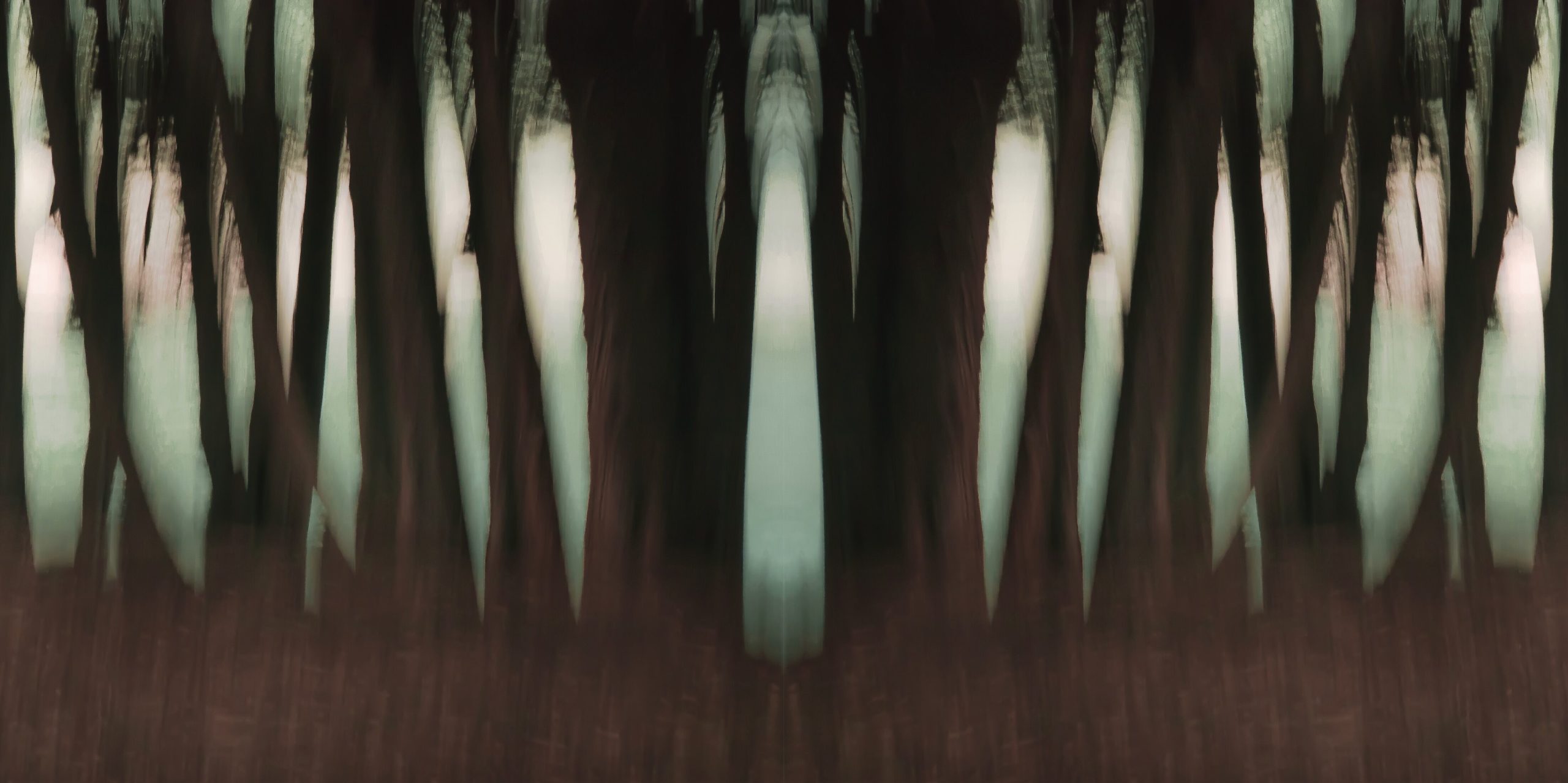 Dark Forest Desert Trees, Arizona by Dan Gottlieb, ink jet print and acrylic on plexiglass, 36×66.PR at Craven Allen Gallery