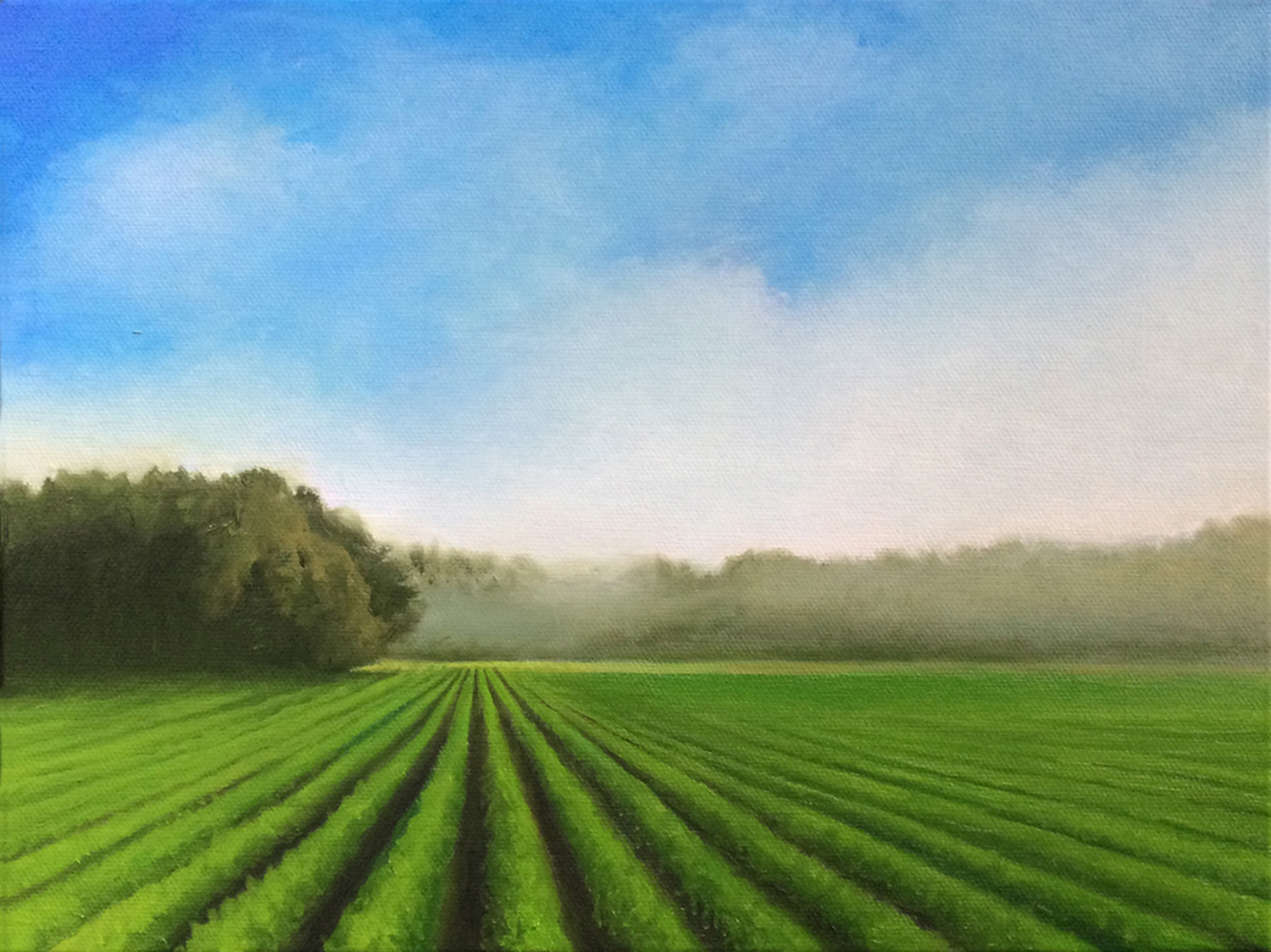Summer Fields by David Davenport 9X12 oil onc anvas at Craven Allen Gallery  840
