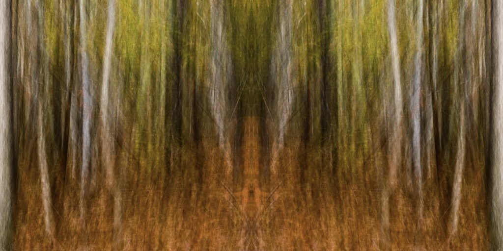 Eno River Forest by Dan Gottlieb, ink jet print and acrylic on plexiglass, 30×54.PR at Craven Allen Gallery