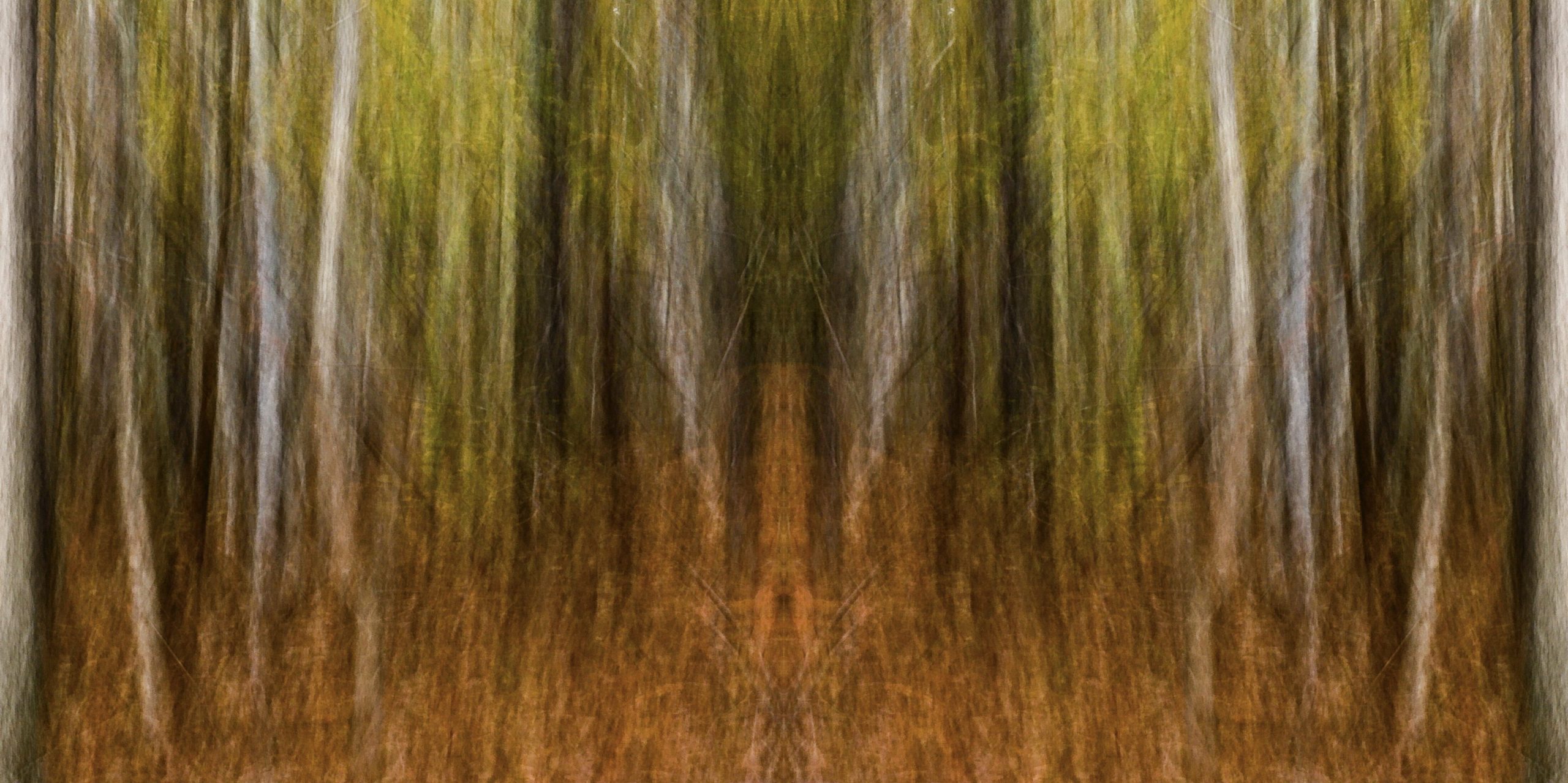 Eno River Forest by Dan Gottlieb, ink jet print and acrylic on plexiglass, 30×54.PR at Craven Allen Gallery