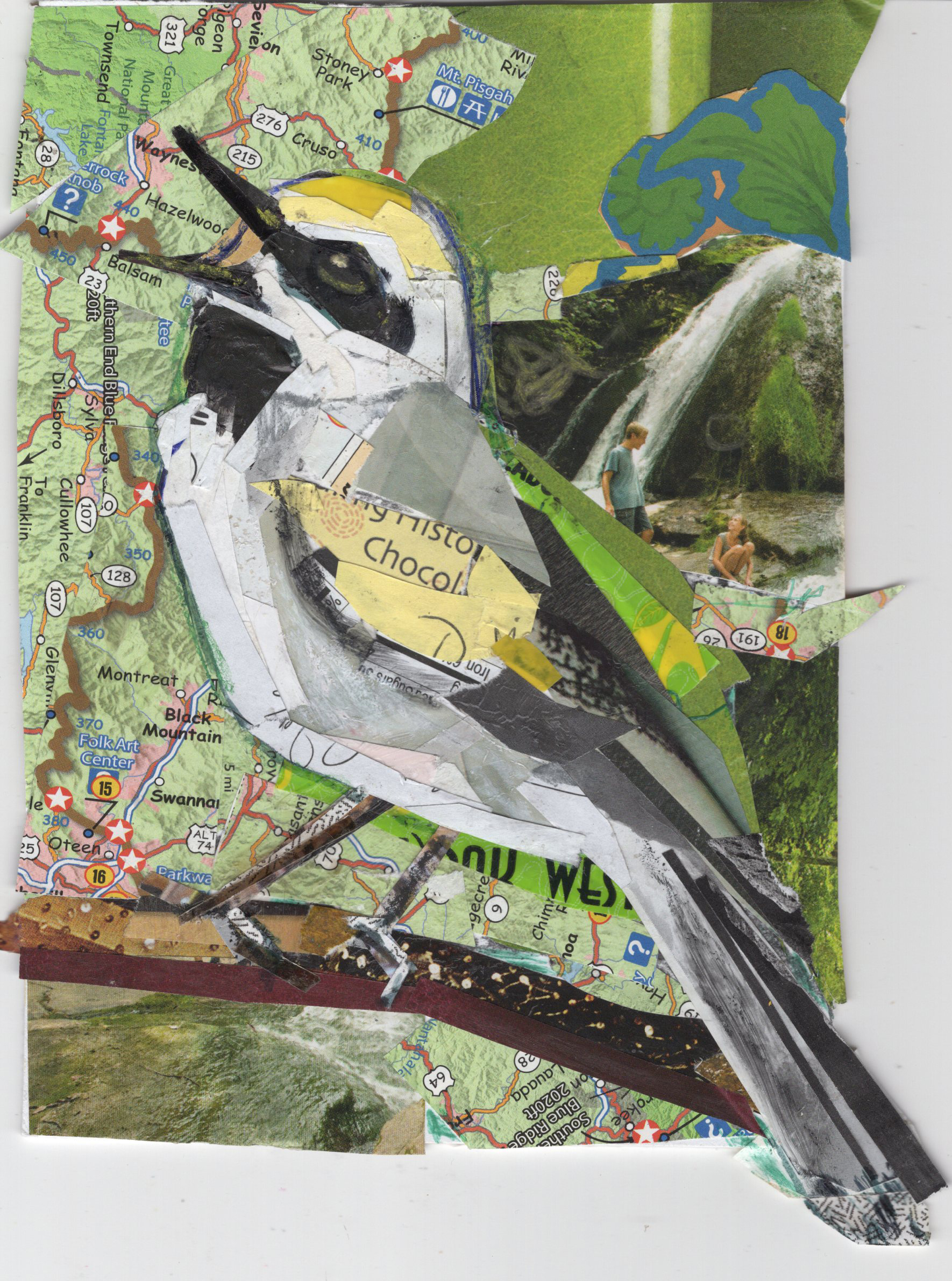 Northern Parula Warbler by Kathryn DeMarco, collage 11. 5 x  9. 5 framed at Craven Allen Gallery 300 SOLD