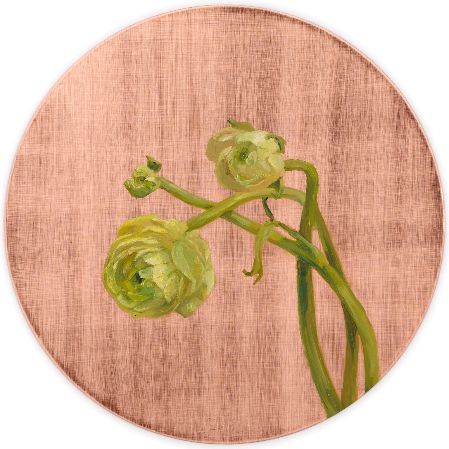 Green Ranunculus by Alia El-Bermani, oil on copper, 8 x 8, 2,000