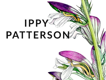 IPPY PATTERSON AT CRAVEN ALLEN GALLERY
