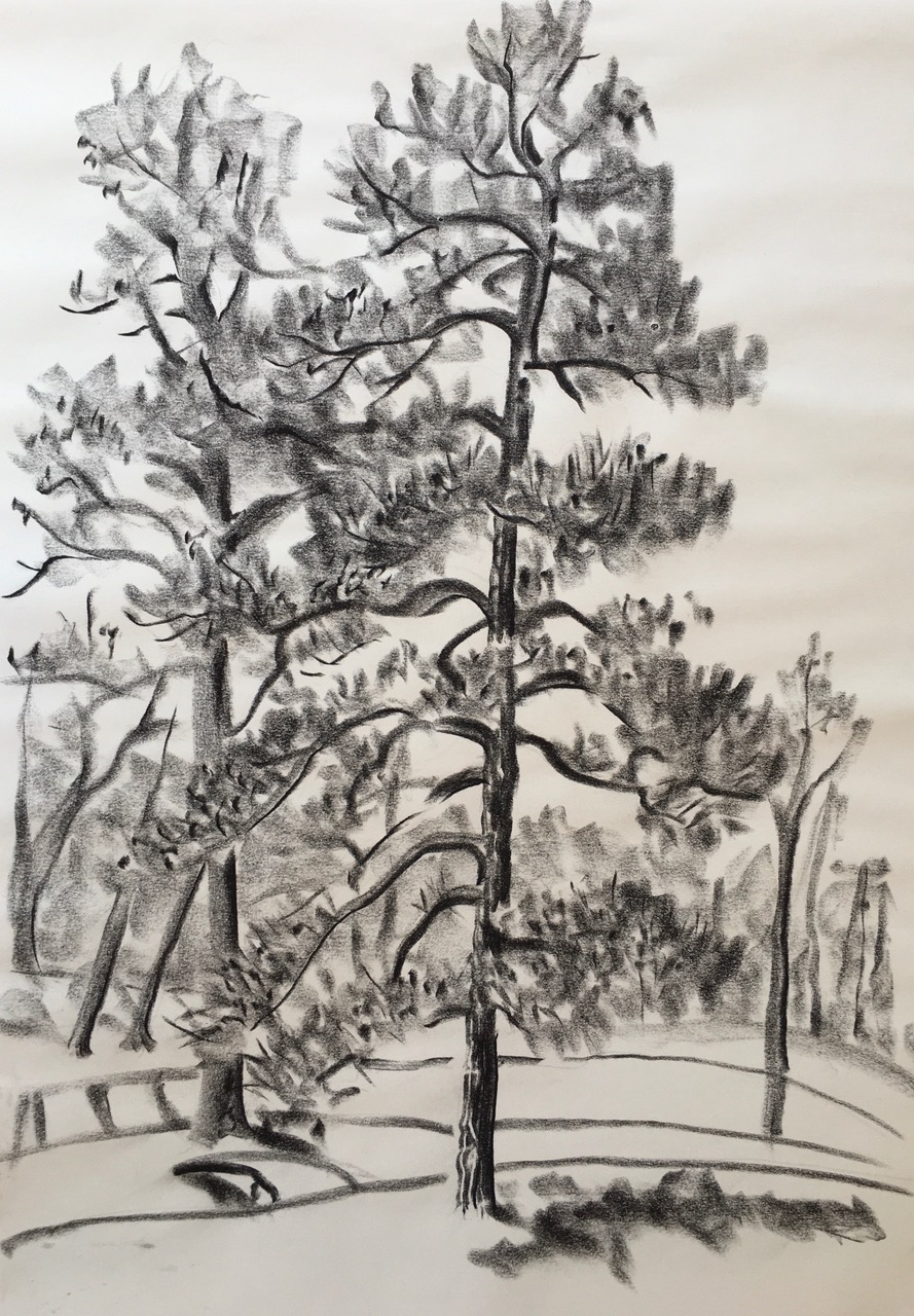 Shelter in Place by Ippy Patterson, charcoal, at Craven Allen Gallery