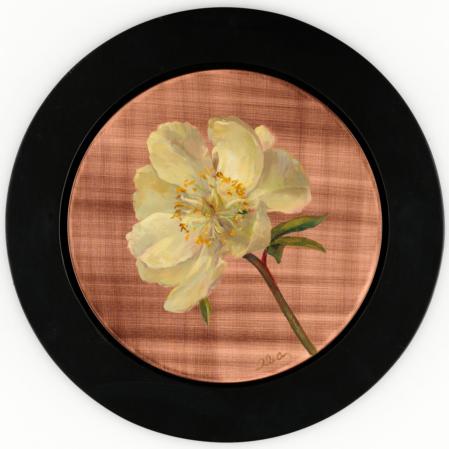 Jan Van Leeuwen Peony by Alia El-Bermani, 8 x 8, 2,000