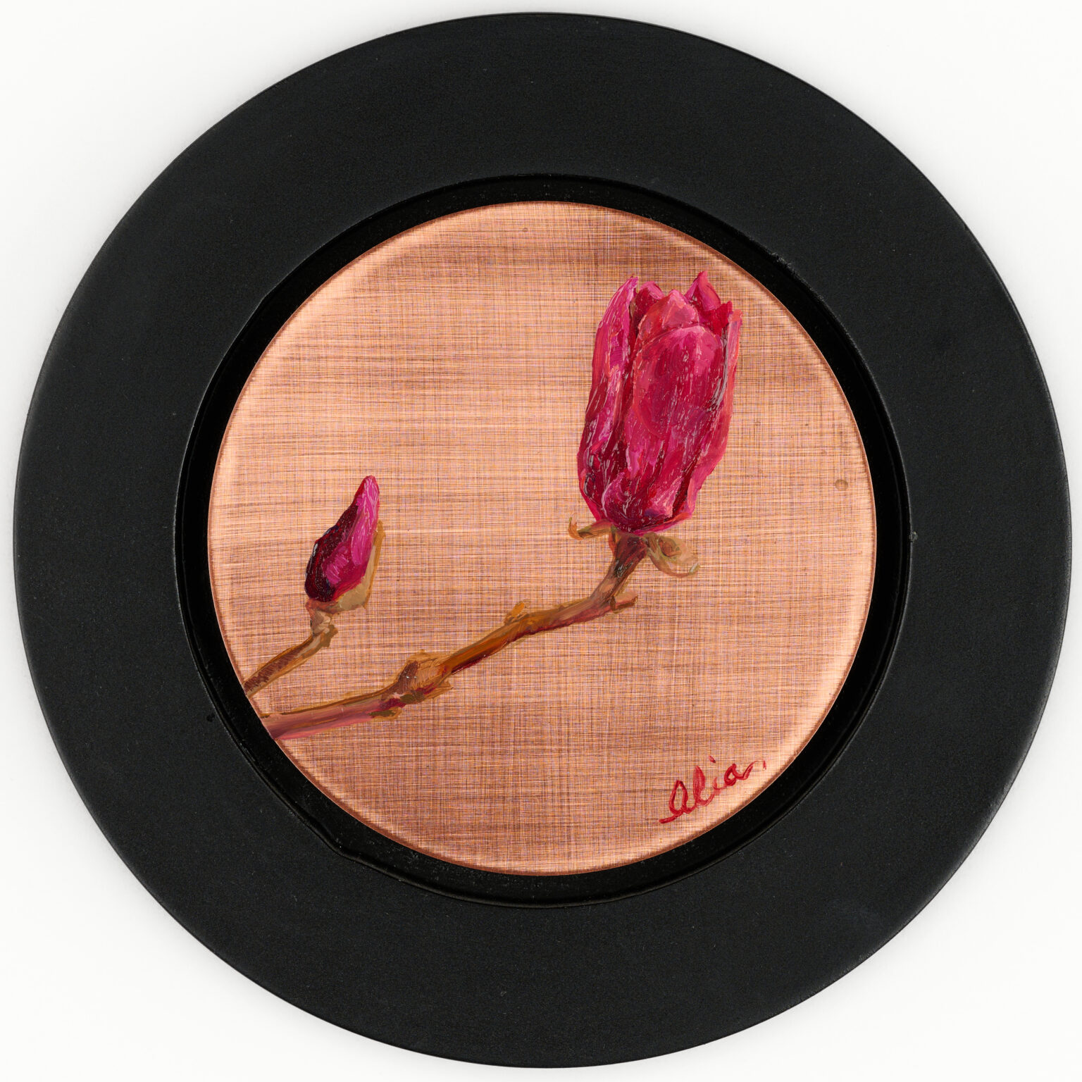 Japanese Magnolia by Alia El-Bermani, oil on copper, 4 x 4, 1,000