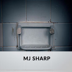 MJ SHARP AT CRAVEN ALLEN GALLERY