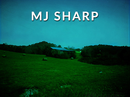 MJ SHARP AT CRAVEN ALLEN GALLERY