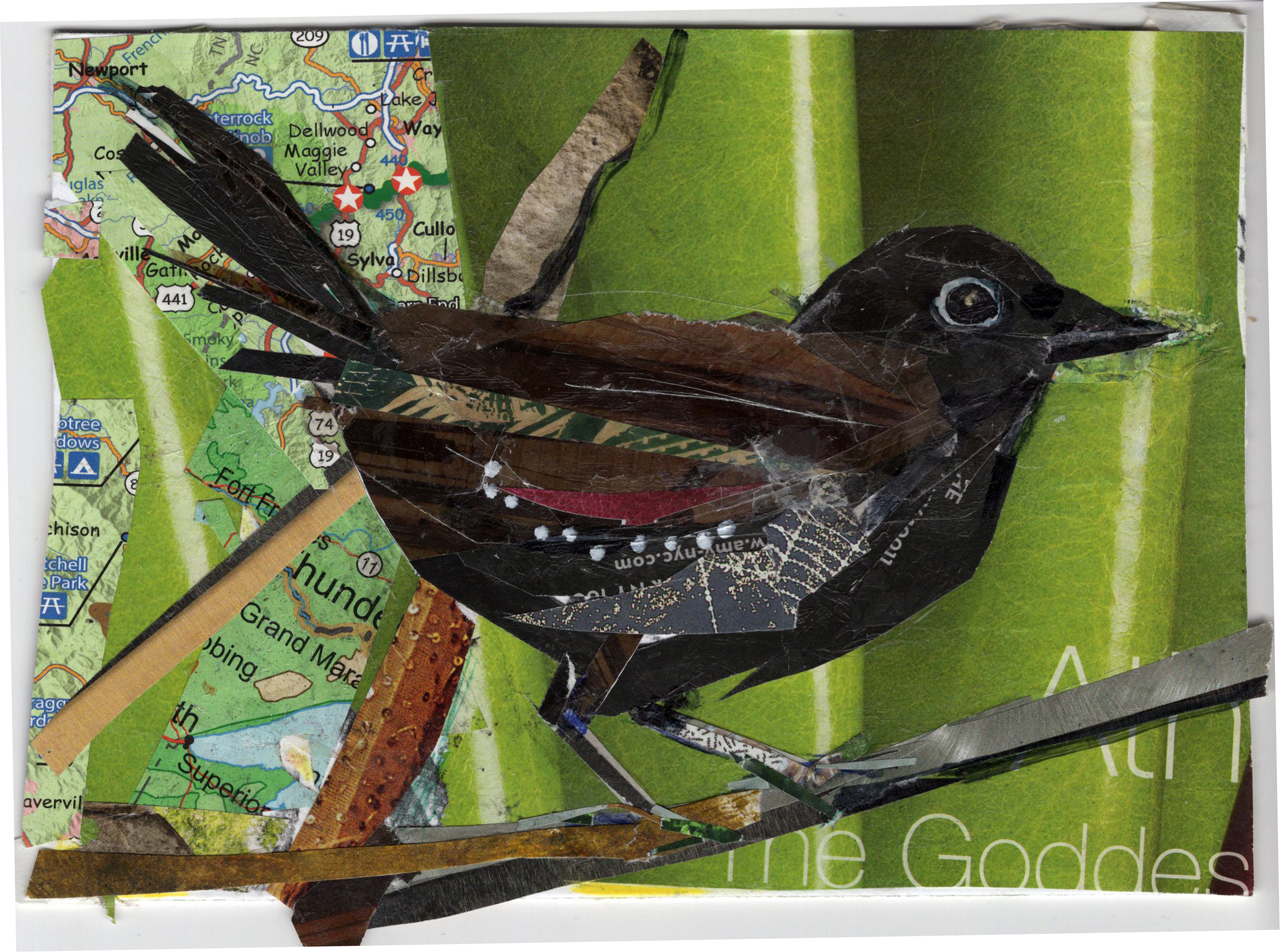 Swamp Antwren by Kathryn DeMarco, collage 11. 5 x  9. 5 framed at Craven Allen Gallery 300 SOLD