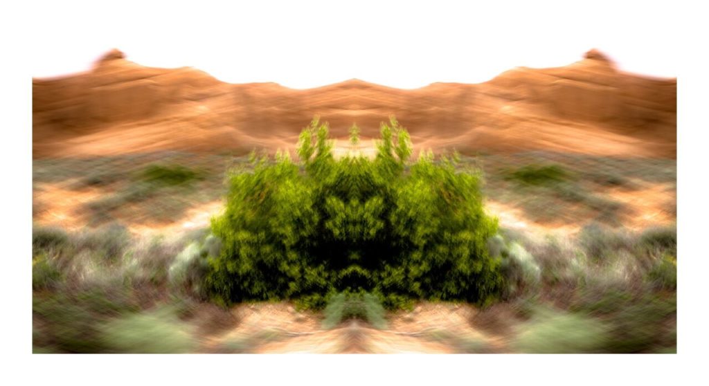 Moab 1 by Dan Gottlieb, inkjet print and acrylic on plexiglass. 36 x 66 at Craven Allen Gallery