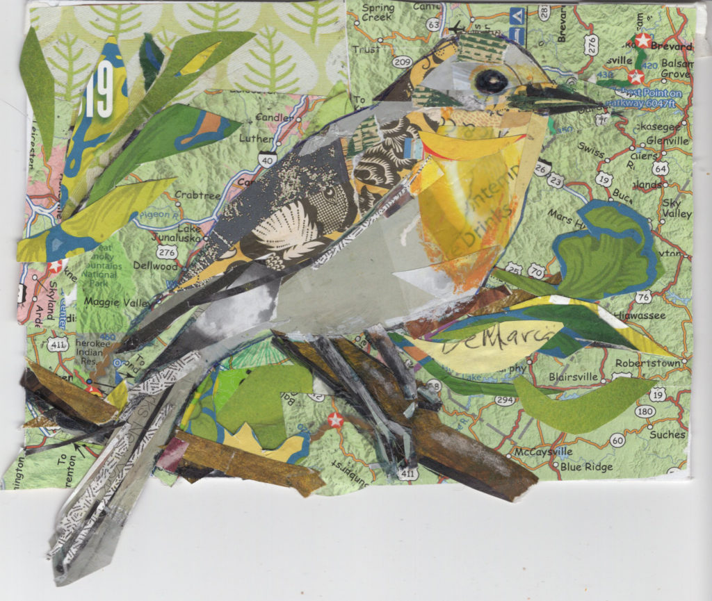 Northern Parula Warbler by Kathryn DeMarco, collage 11. 5 x  9. 5 framed at Craven Allen Gallery 300 SOLD