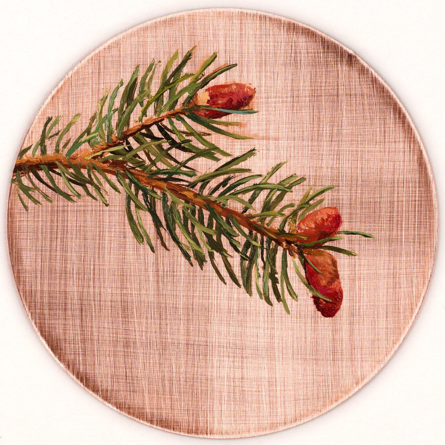 Norway Spruce by Alia El-Bermani, oil on copper, 4 x 4, 1,000