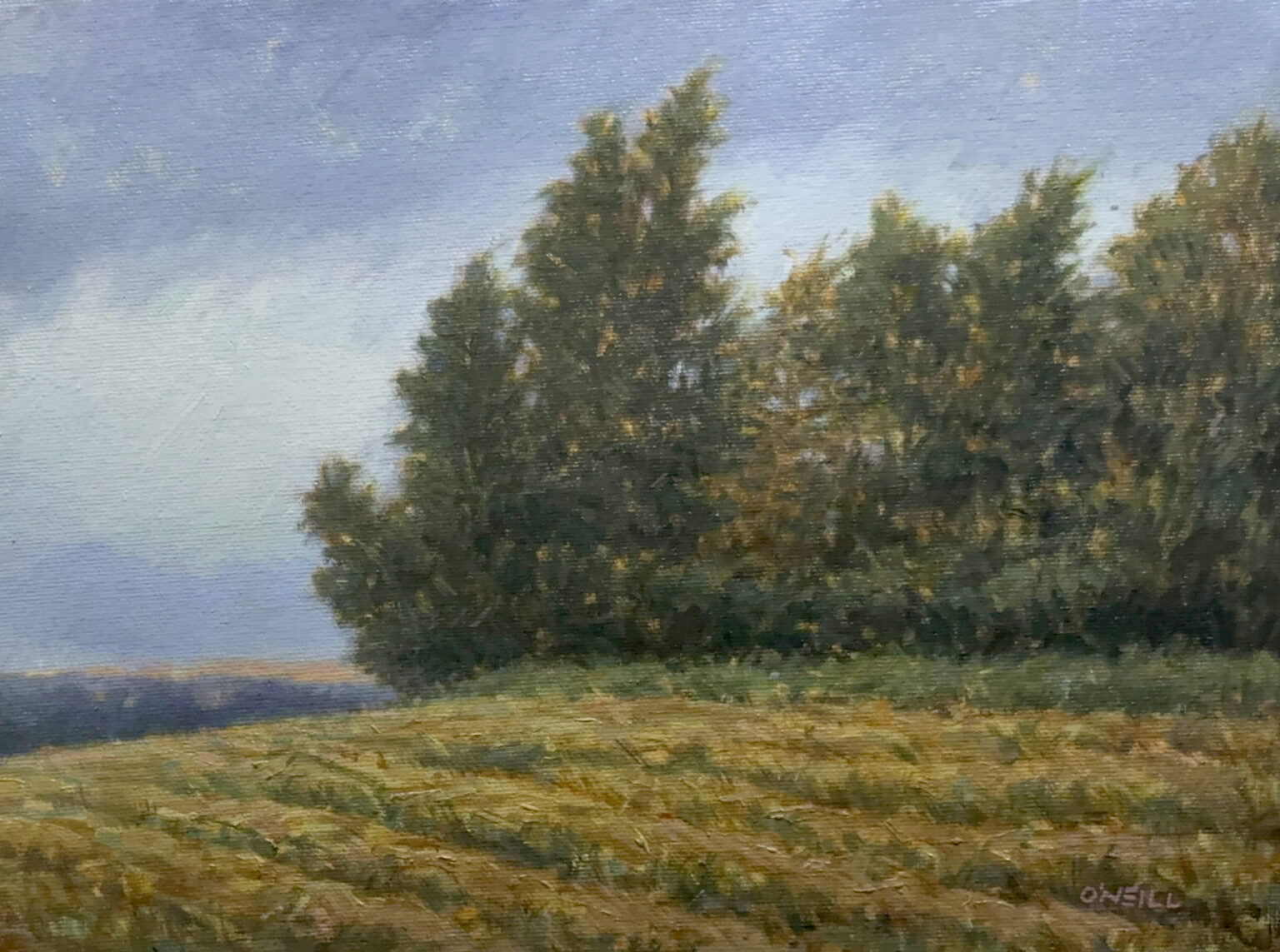 November winds by Gerry O’Neill oil on canvas panel 9×12