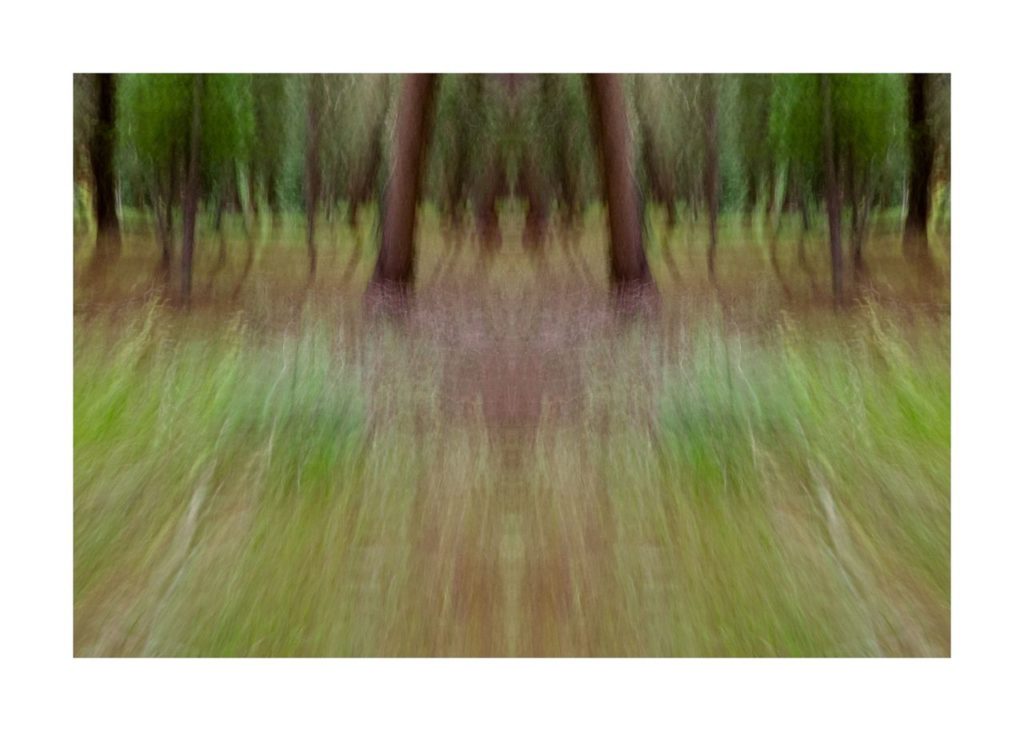by Dan Gottlieb, ink jet print and acrylic on plexiglass, 30×42.PR at Craven Allen Gallery