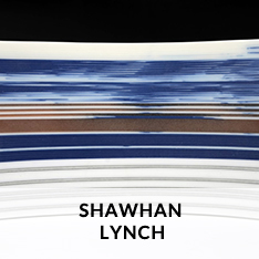 SHAWHAN LYNCH AT CRAVEN ALLEN GALLERY