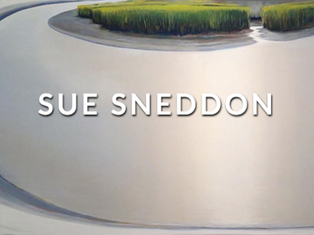 SUE SNEDDON AT CRAVEN ALLEN GALLERY