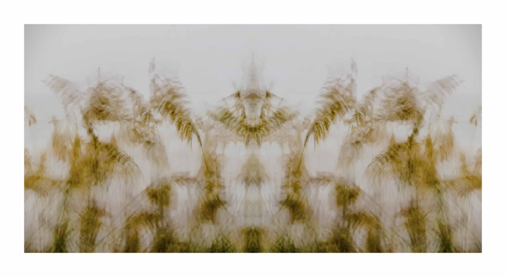 SeaGrass by Dan Gottlieb, inkjet print and acrylic on plexiglass. 36×66 at Craven Allen Gallery