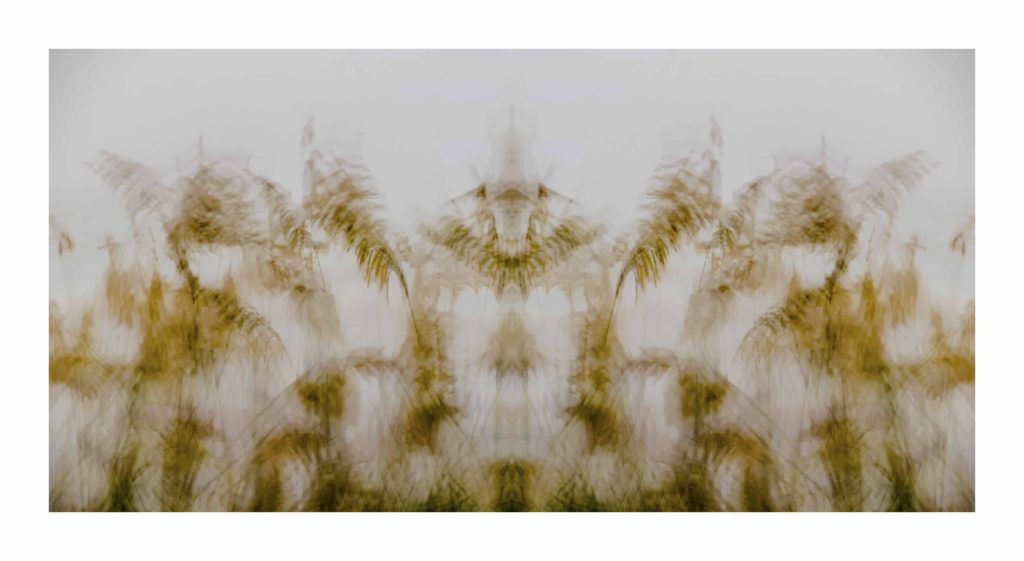 SeaGrass by Dan Gottlieb, inkjet print and acrylic on plexiglass. 36×66 at Craven Allen Gallery