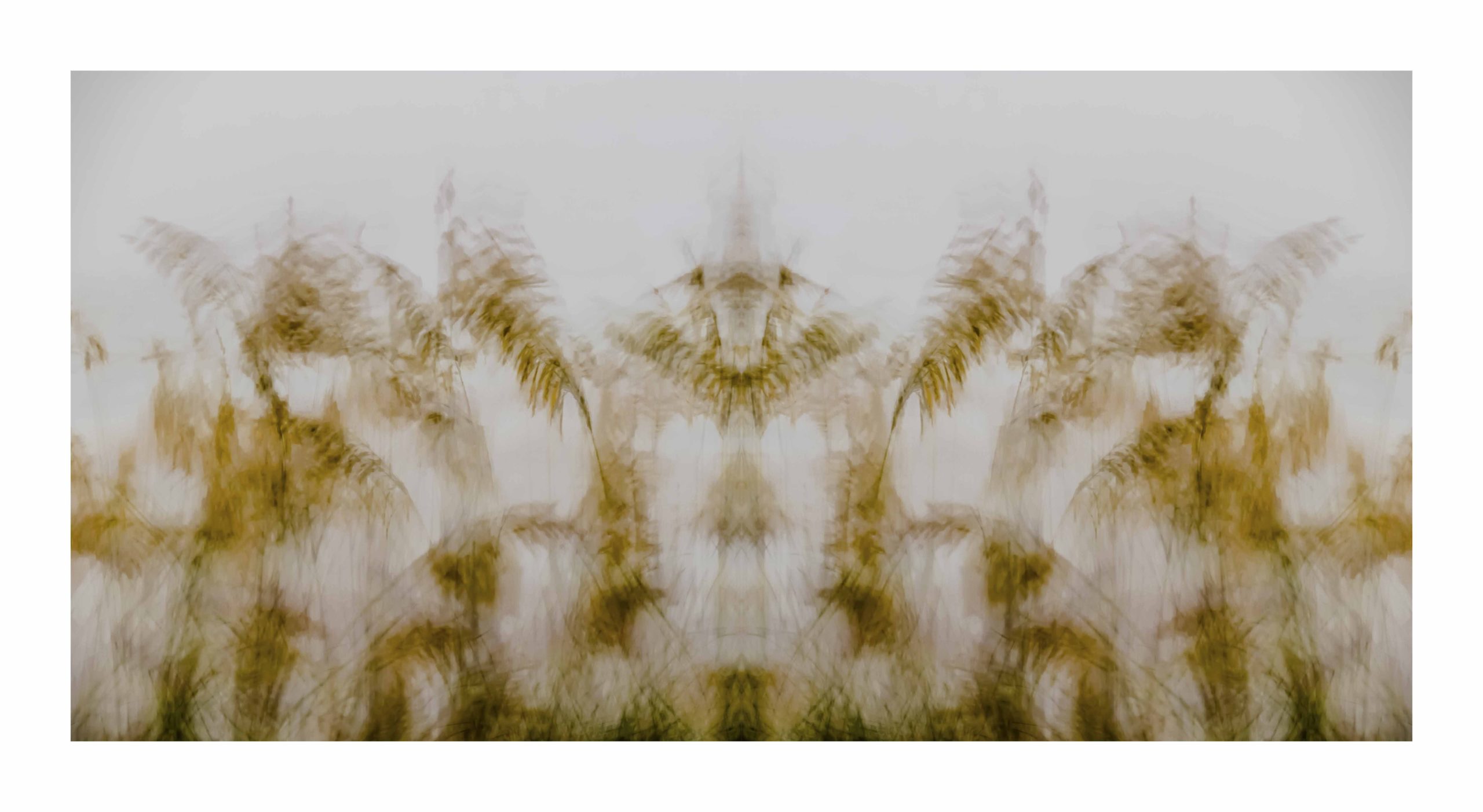 SeaGrass by Dan Gottlieb, inkjet print and acrylic on plexiglass. 36×66 at Craven Allen Gallery