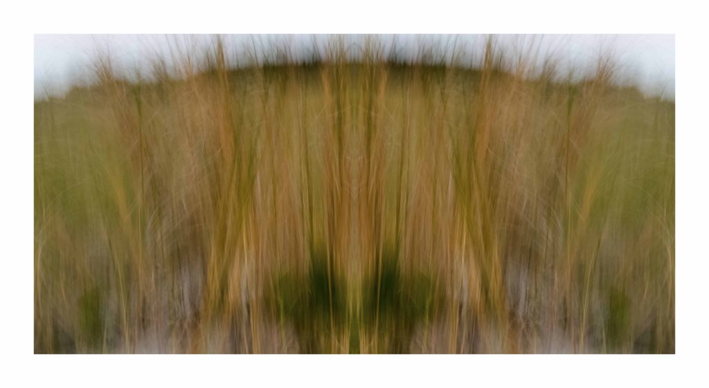 by Dan Gottlieb, inkjet print and acrylic on plexiglass,  36×66.IS at Craven Allen Gallery