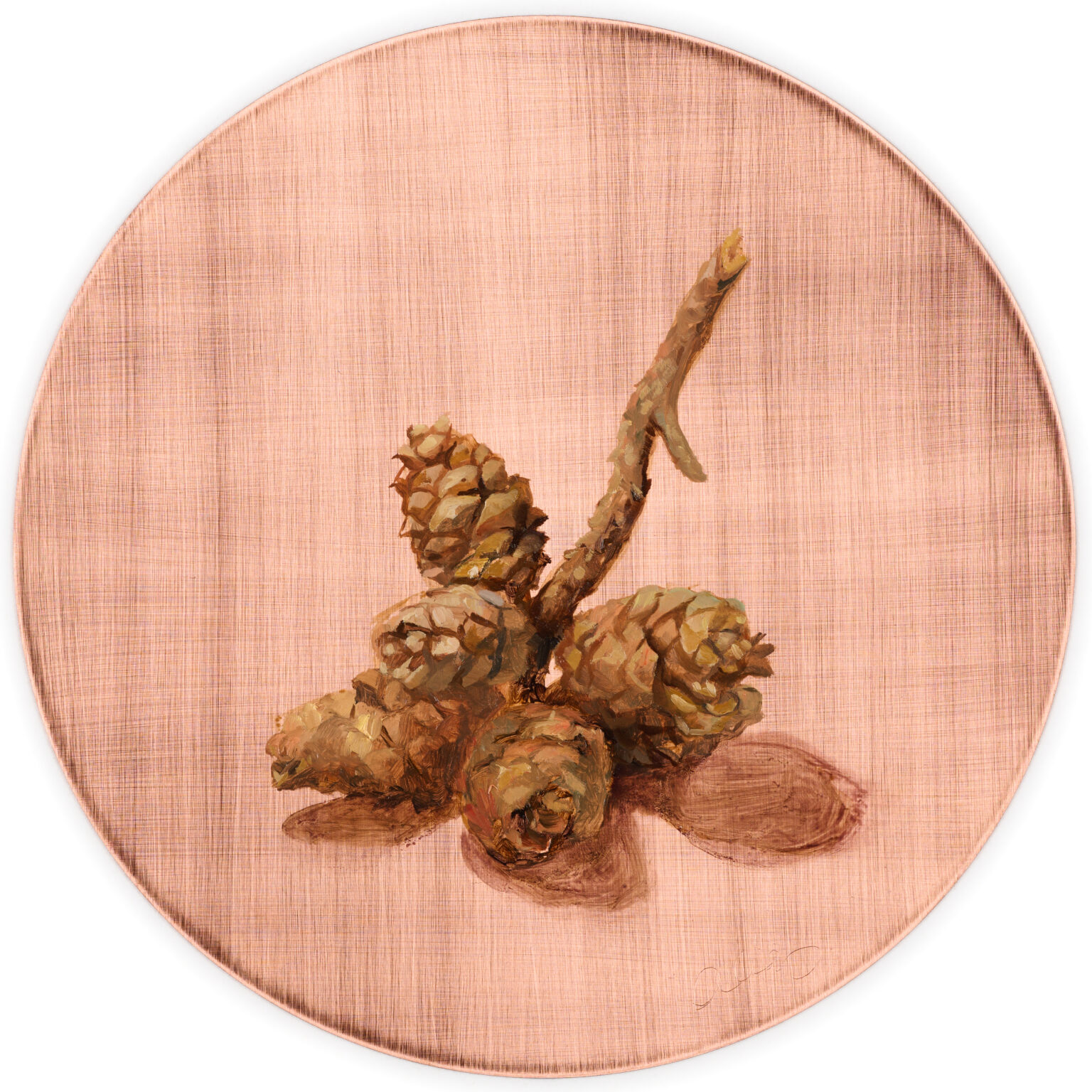 Short Leaf Pinecones by Alia El-Bermani, oil on copper, 8 x 8, 2,000