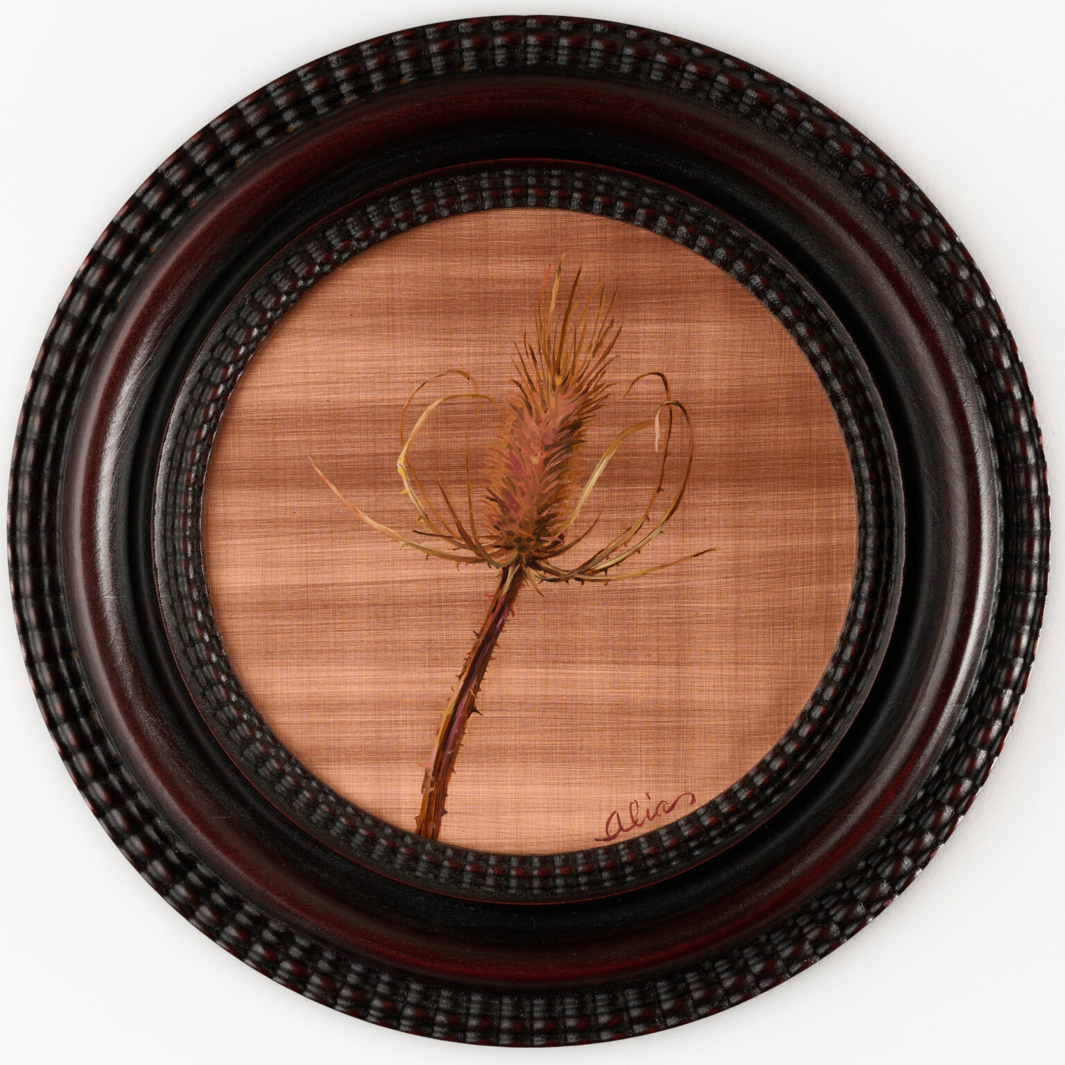 Single Teasel by Alia El Bermani, oil on copper, 8 x 8, 2,000
