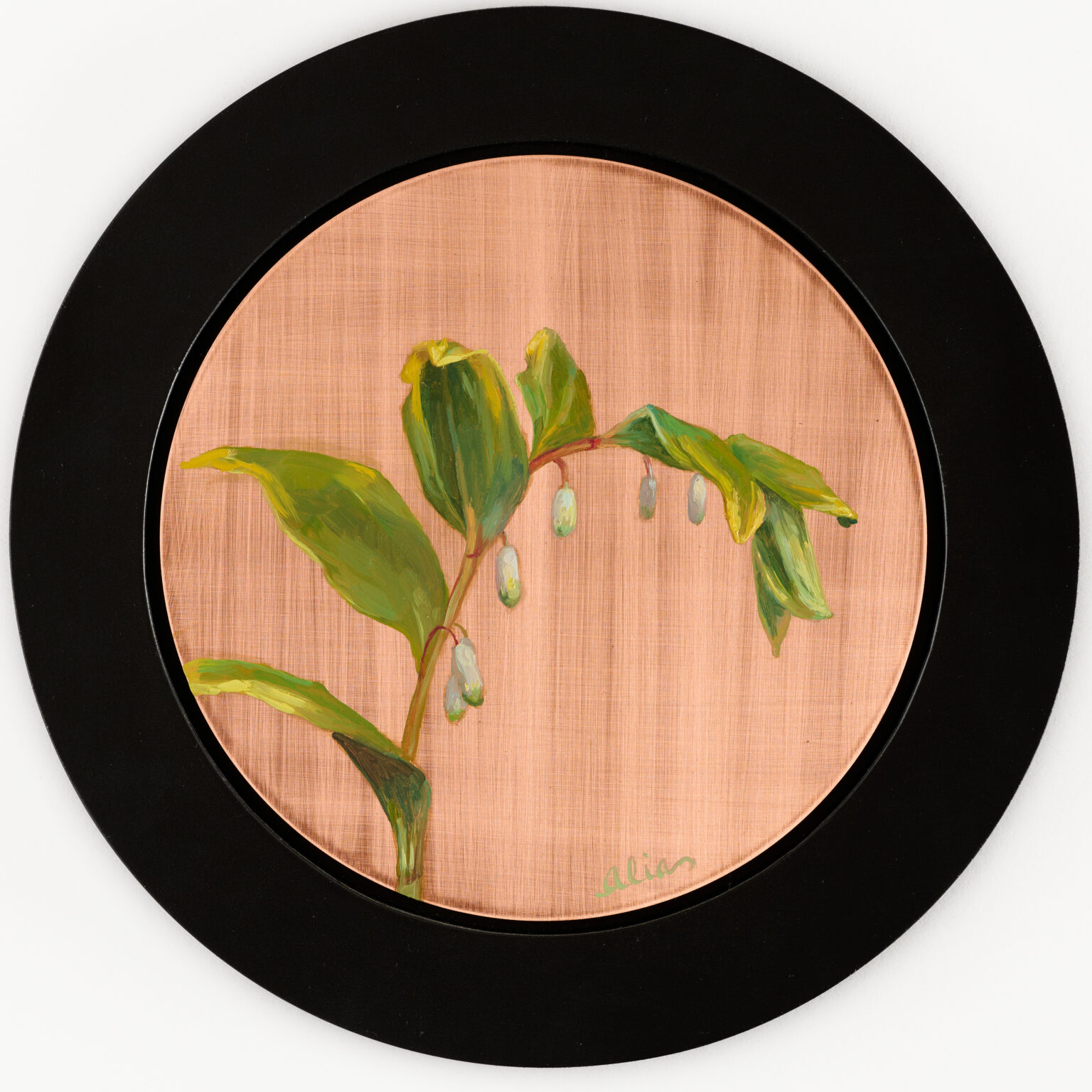 Solomon Seal by Alia El-Bermani, oil on copper, 8 x 8, 2,000