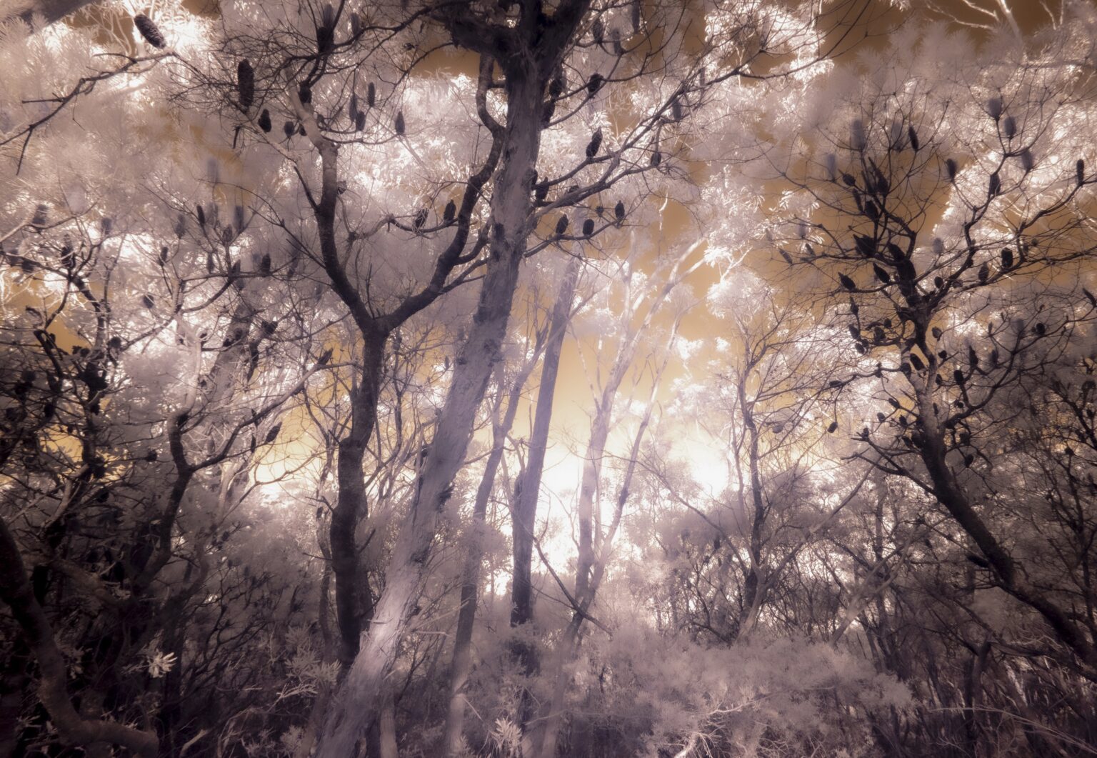 The Fourth Day by Dan Gottlieb, mixed media on acrylic, 30 x 42, $4,500