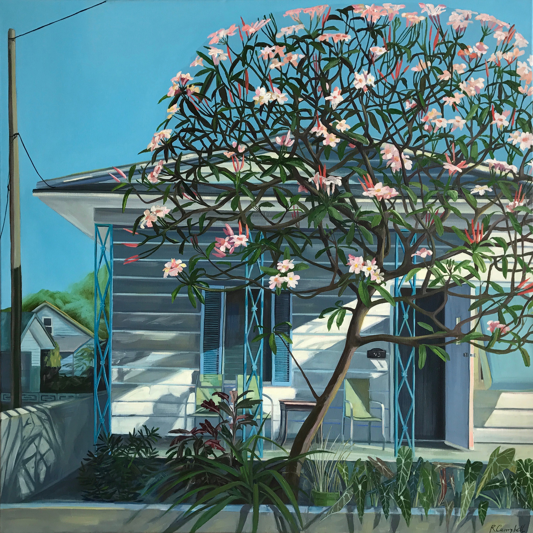 The Frangapani Tree, oil on canvas, 36×36  by Rachel Campbell at Craven Allen Gallery