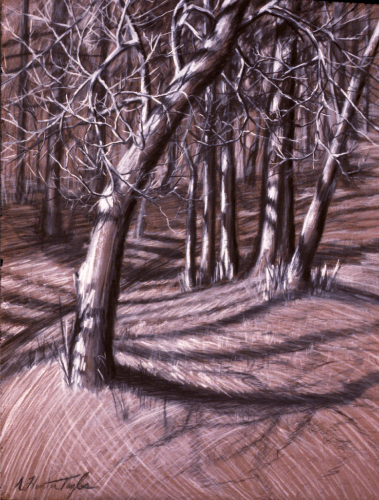 Trees by Old Roadbed by A. Hunter Taylor, pastel and charcoal, 23” x 16.75” Image 31.5 x 25 at Craven Allen Gallery