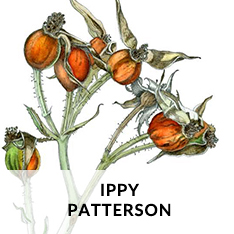 IPPY PATTERSON AT CRAVEN ALLEN GALLERY