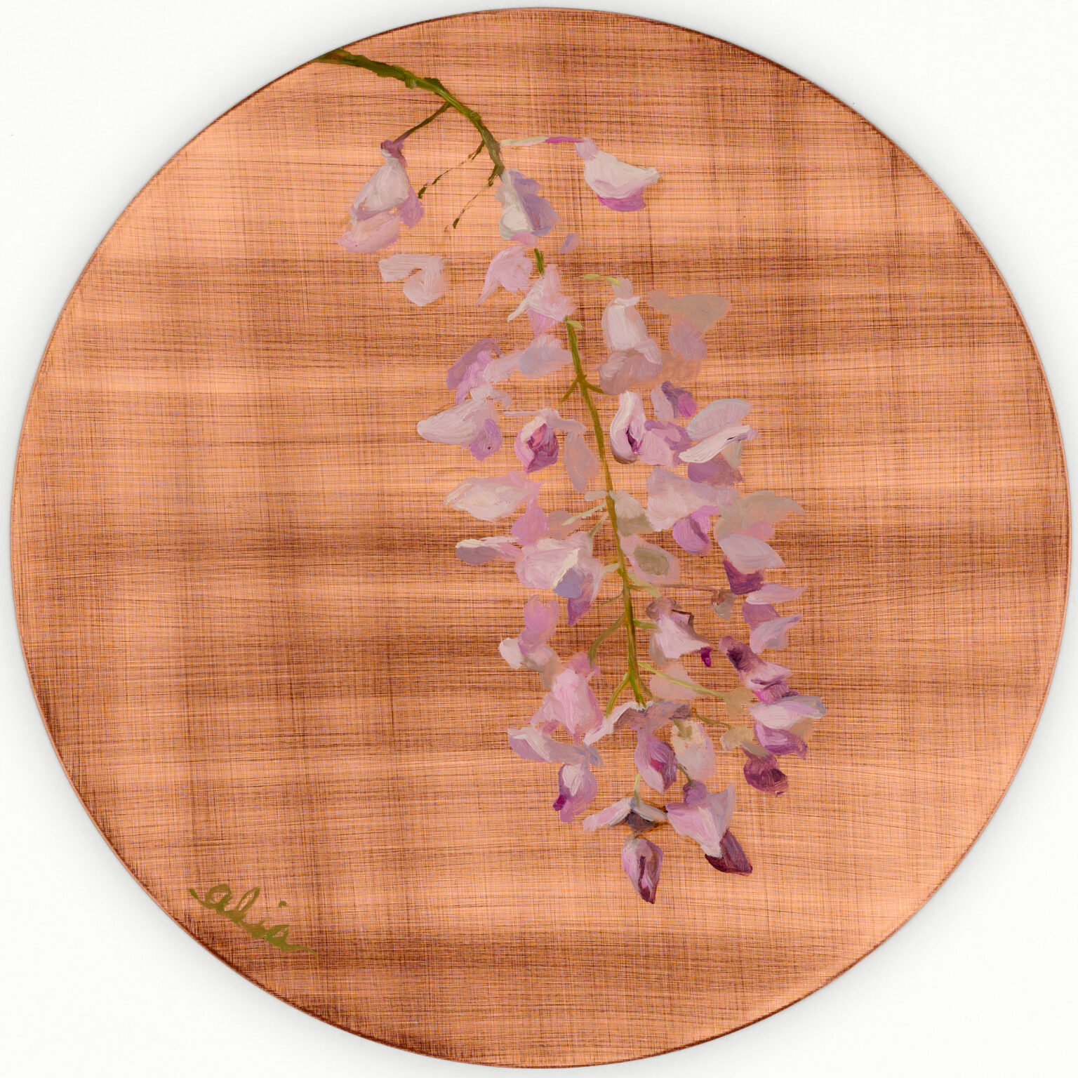 Wisteria by Alia El-Bermani, oil on copper, 8 x 8, 2,000