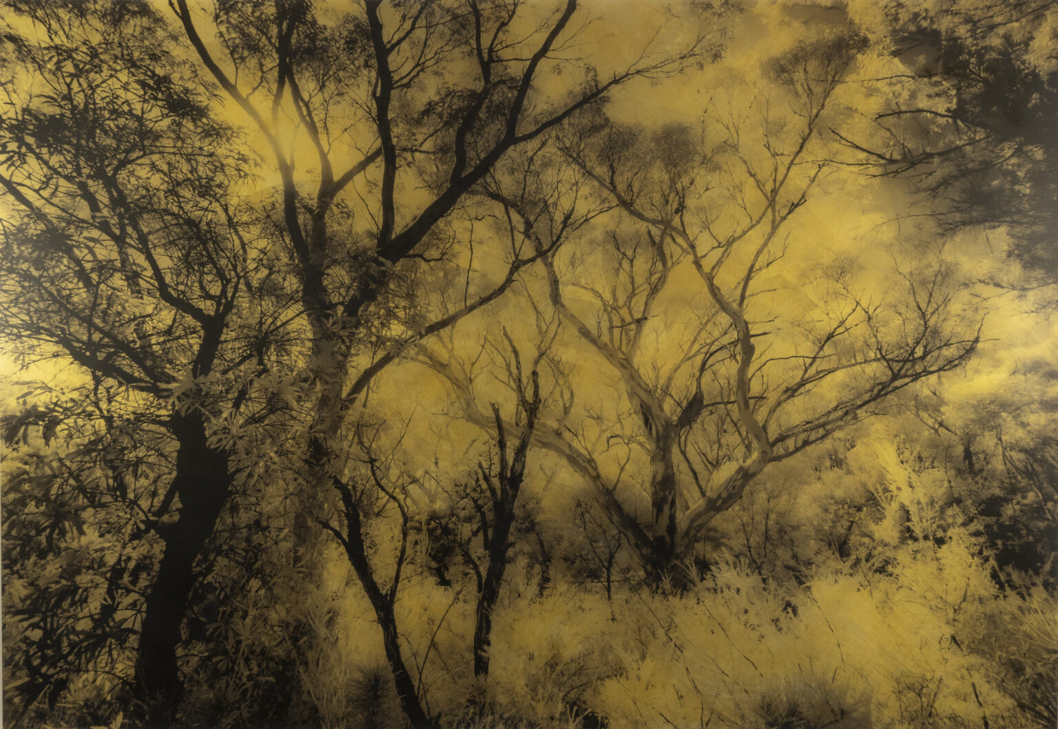 You Just Never Know When by Dan Gottlieb, mixed media on acrylic, 30 x 42, $4,500