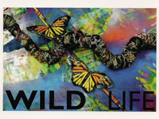 BRYANT HOLSENBECK: WILD LIFE AT CRAVEN ALLEN GALLERY