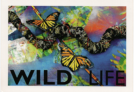 BRYANT HOLSENBECK: WILD LIFE