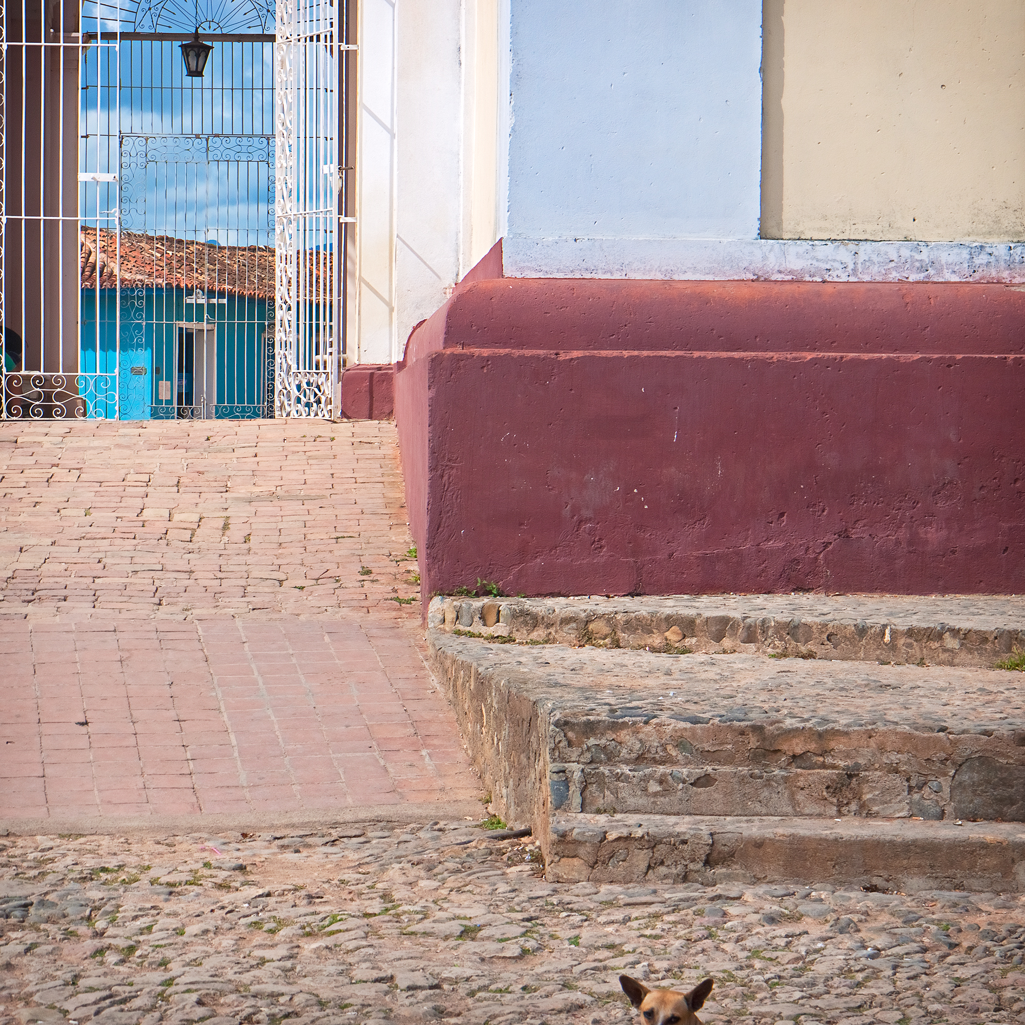 Dog in Door by Elizabeth Matheson, photograph, at Craven Allen Gallery